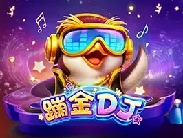 DJ BOOM BOOM